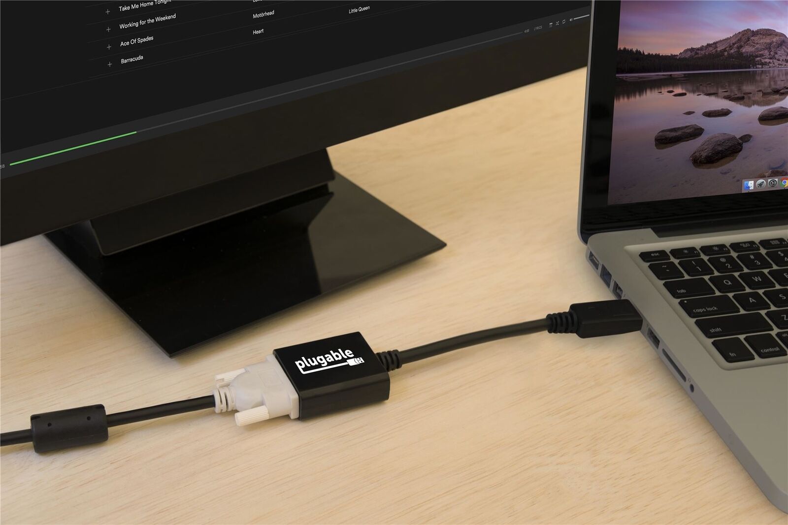 Plugable Technologies DisplayPort to DVI Adapter - Supports Windows and Linux Pa
