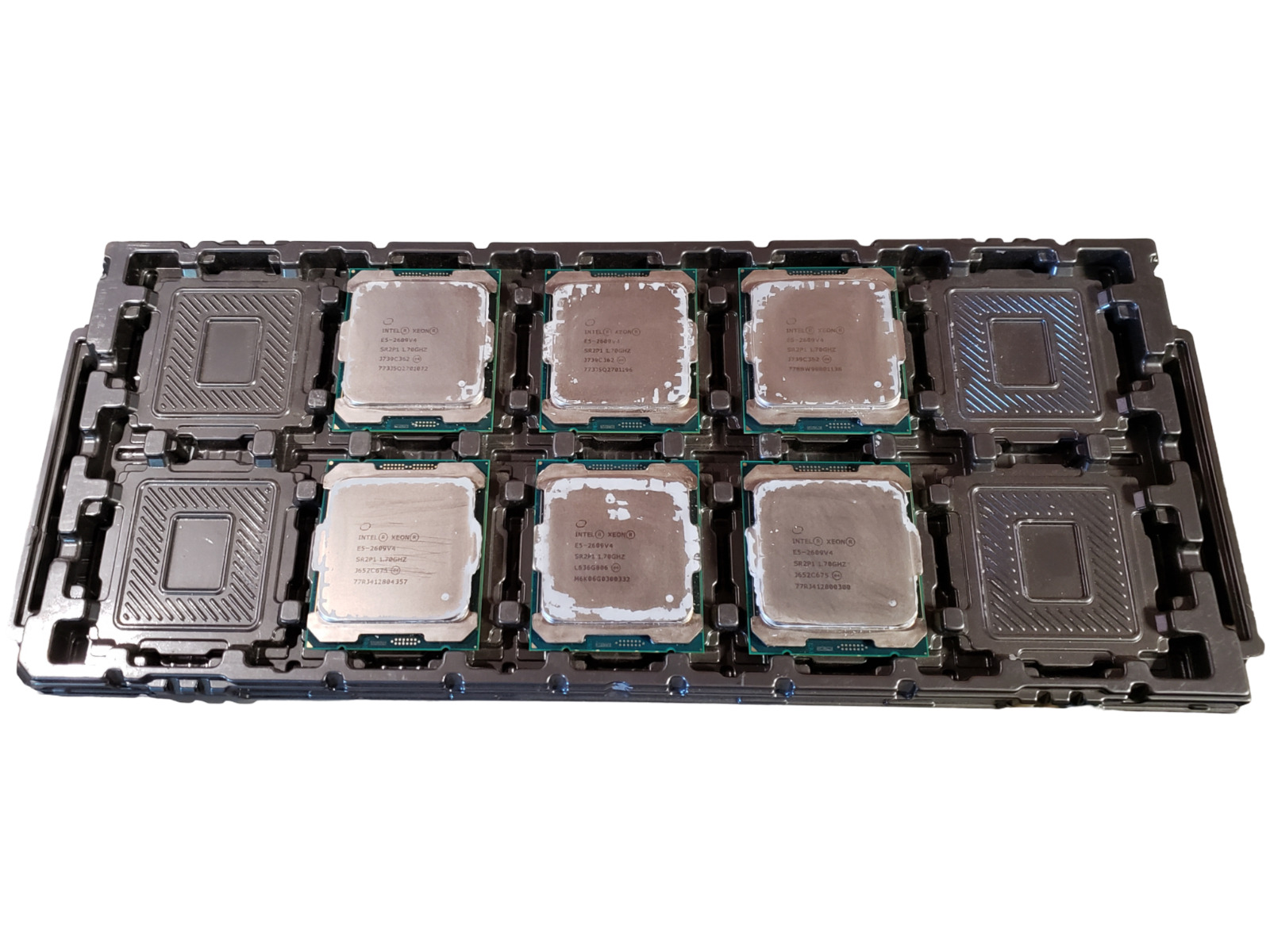 LOT of 6 Intel Xeon E5-2609v4 8 Core 1.70GHz FCLGA2011 Processor