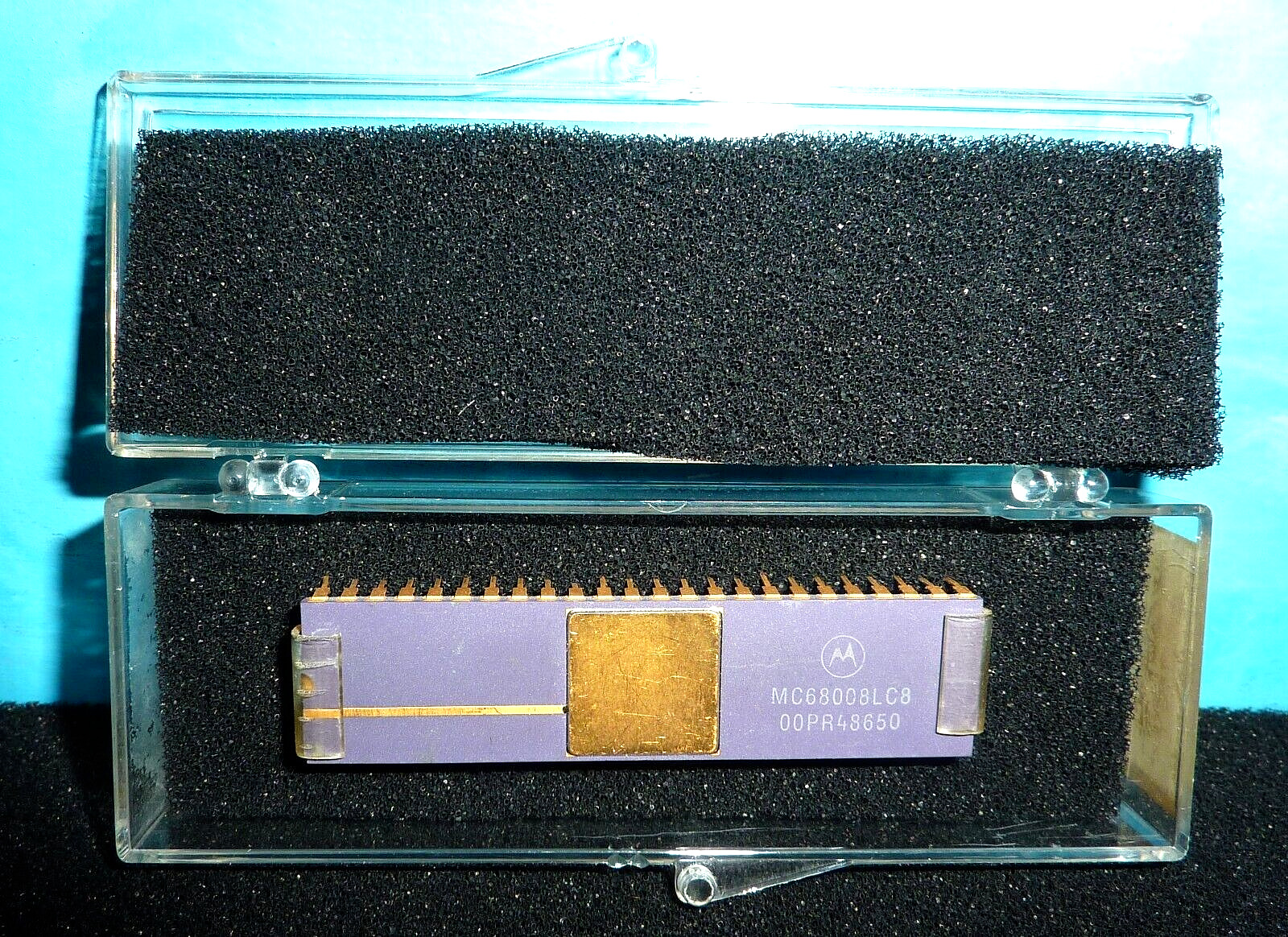 Motorola MC68008LC8 Purple Ceramic Gold DIP Collectible Microprocessor 