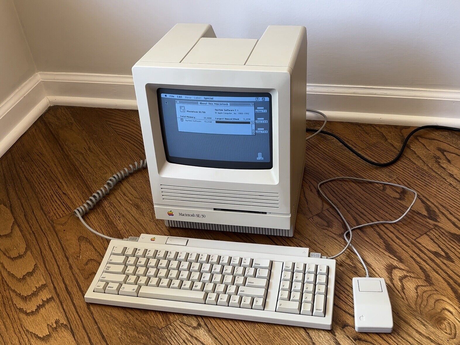 Apple Macintosh SE/30 - Restored & Recapped, 20MB RAM, SCSI SDHD, Keyboard/Mouse