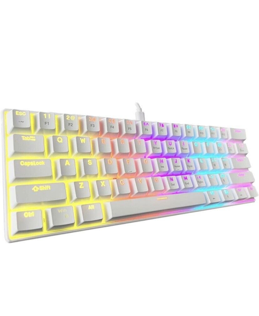 60% Wired Mechanical Keyboard, Mini Gaming Keyboard with 61 Blue Switch Keys