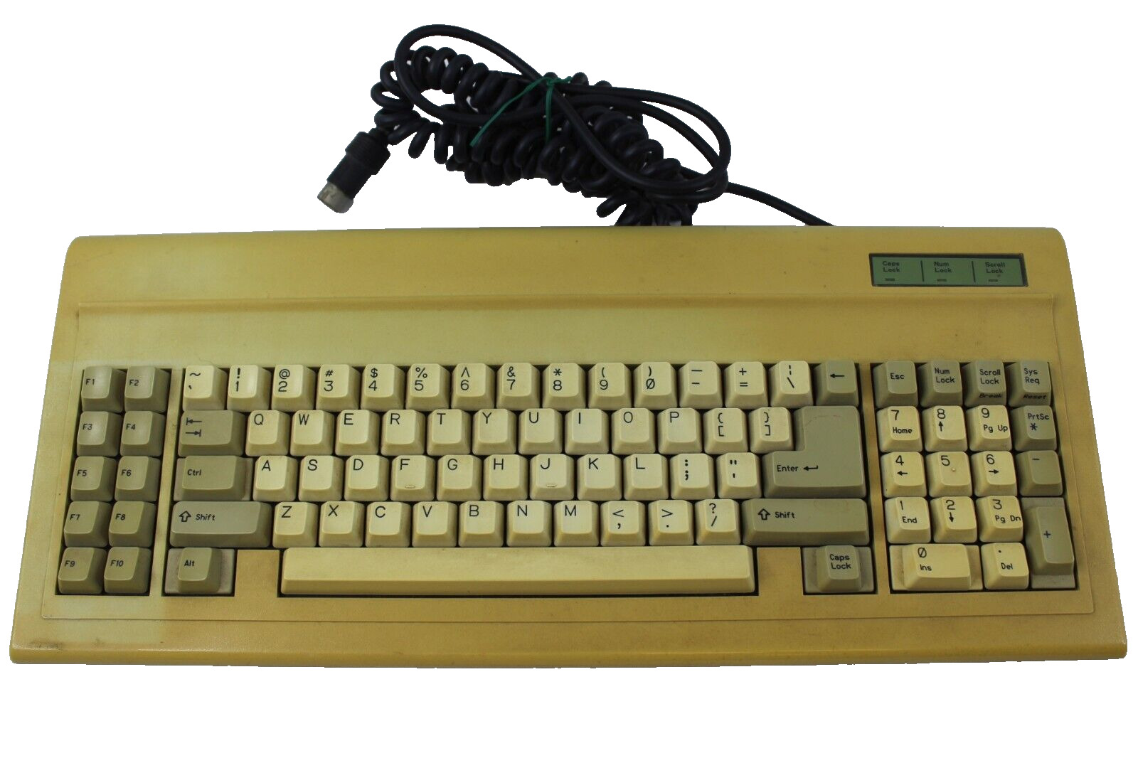 Vintage BTC Professional Series Model BTC-5060 5-Pin Computer Keyboard