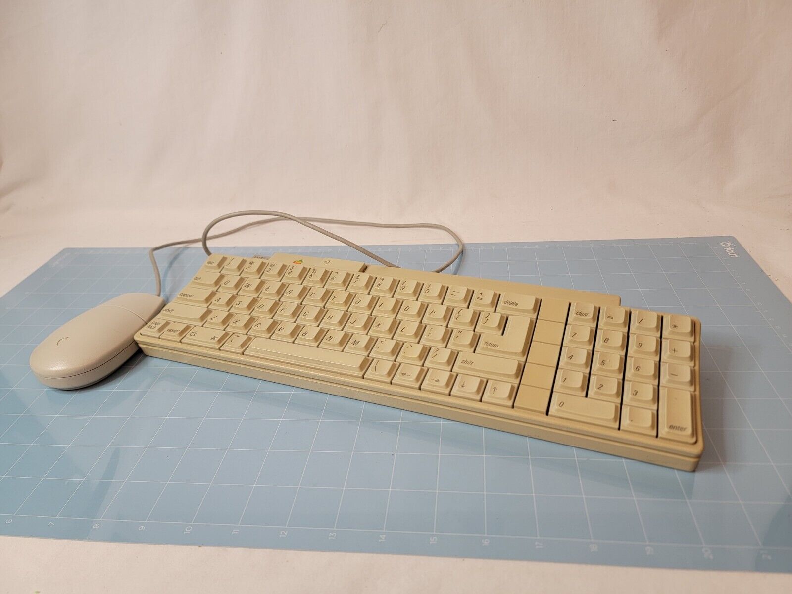 Apple Desktop Bus Keyboard A9M0330 W/ Mouse M2706 VINTAGE | WORKING