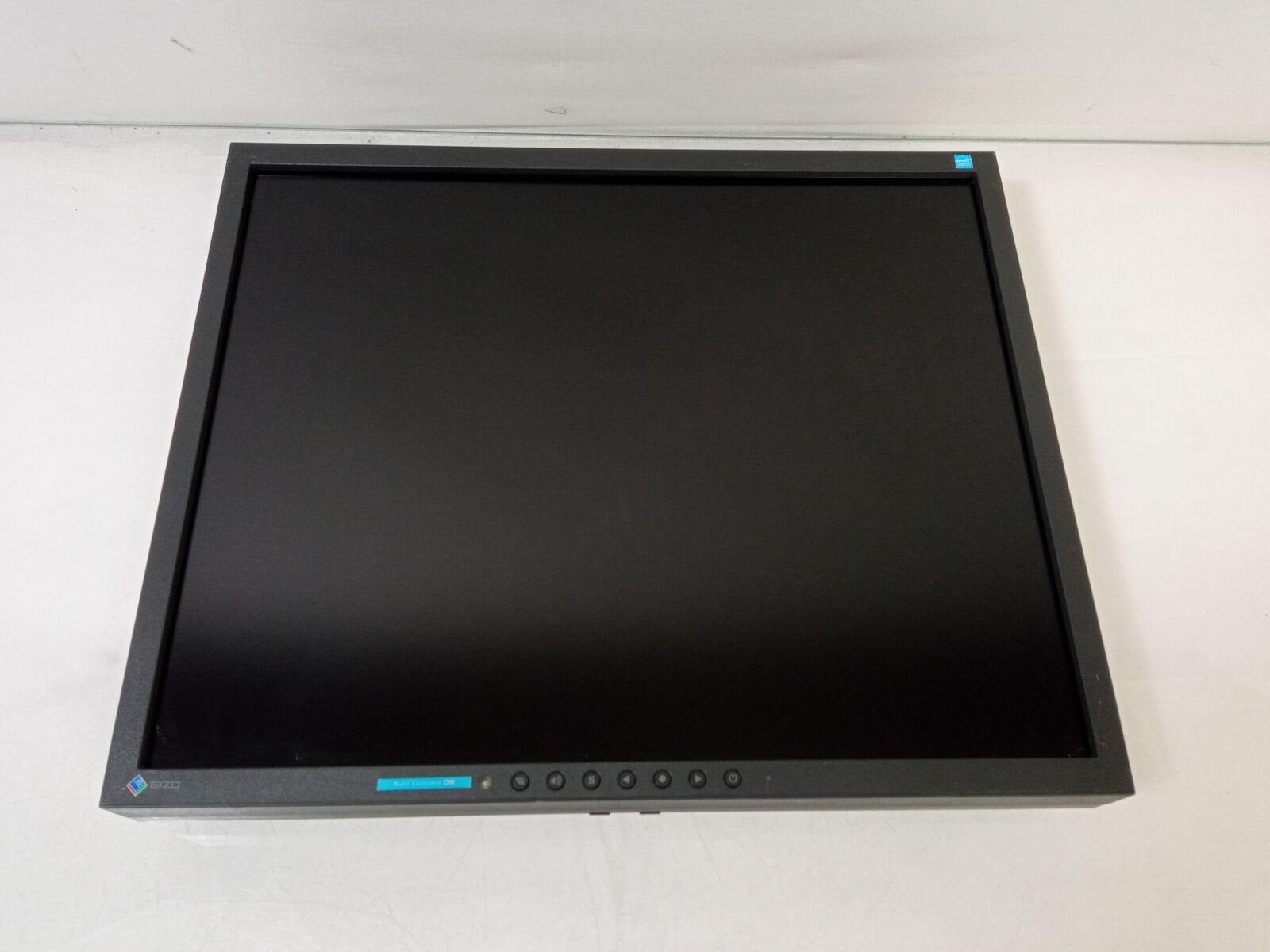 EIZO FlexScan S1921 19 Inch VGA DVI-D 1280 x 1024 Monitor Without Stand