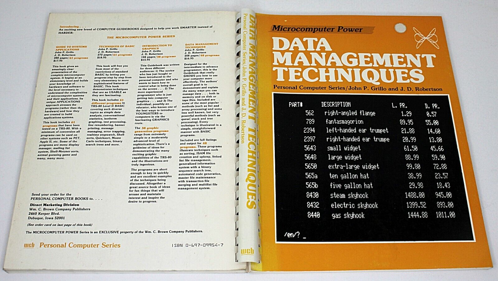 Data Management Techniques by Grillo & Robertson 1982 Vintage Computing