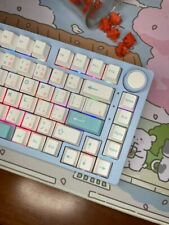 Custom Mechanical Keyboard (leobog hi75) picture