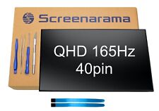 BOE NE160QDM-NY1 V8.0 QHD 40pin 165Hz LCD LED Screen + Tools SCREENARAMA * FAST picture