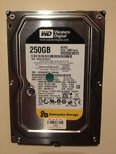 Western Digital 250GB Enterprise Drive - WD2502ABYS-02B7A0 - SATA picture
