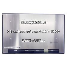 B170QAN01.2 LCD Screen LCD Display Panel 16:10 2560x1600 178PPI IPS 40Pins 240Hz picture