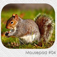 SQUIRREL WILD FOREST HUNTING BEAUTIFUL ANIMAL CUSTOM MOUSE PAD MOUSEPAD  (SM-01) picture