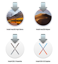 4-in-1 Mac OS X (Yosemite/El Capitan/High Sierra/Mojave) Bootable USB Installer picture
