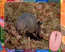 Texas Armadillo    mouse pad picture