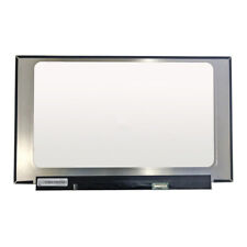15.6'' 240Hz IPS Display FHD LCD Screen Panel for MSI GE66 Raider 10SFS MS-1541 picture