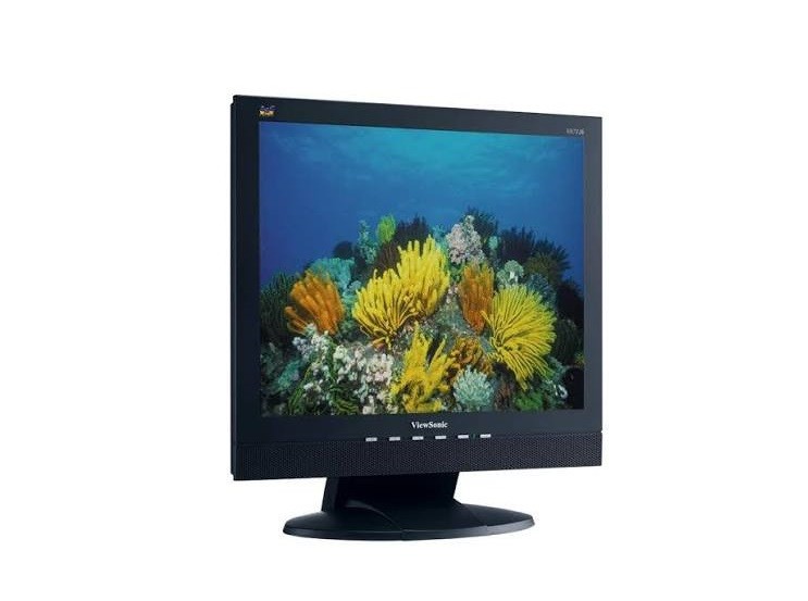 Superb 19" LCD Computer Monitor - Viewsonic Quality