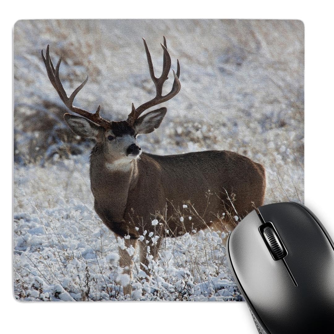 3dRose Mule Deer Buck in Late Autumn Snow Mouse Pad (mp_258040_1)