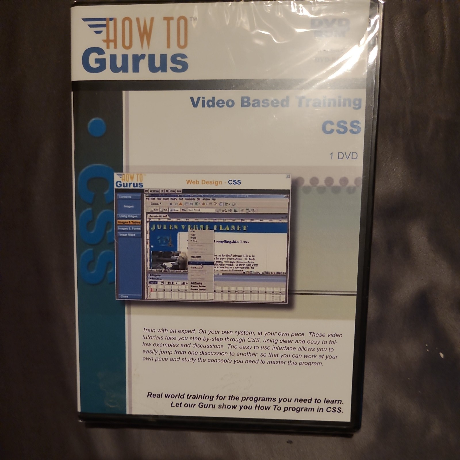 How To Gurus Video Training DVD ROM video based training CSS SEALED