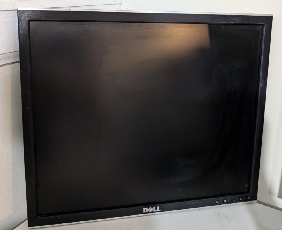 USED Dell 19