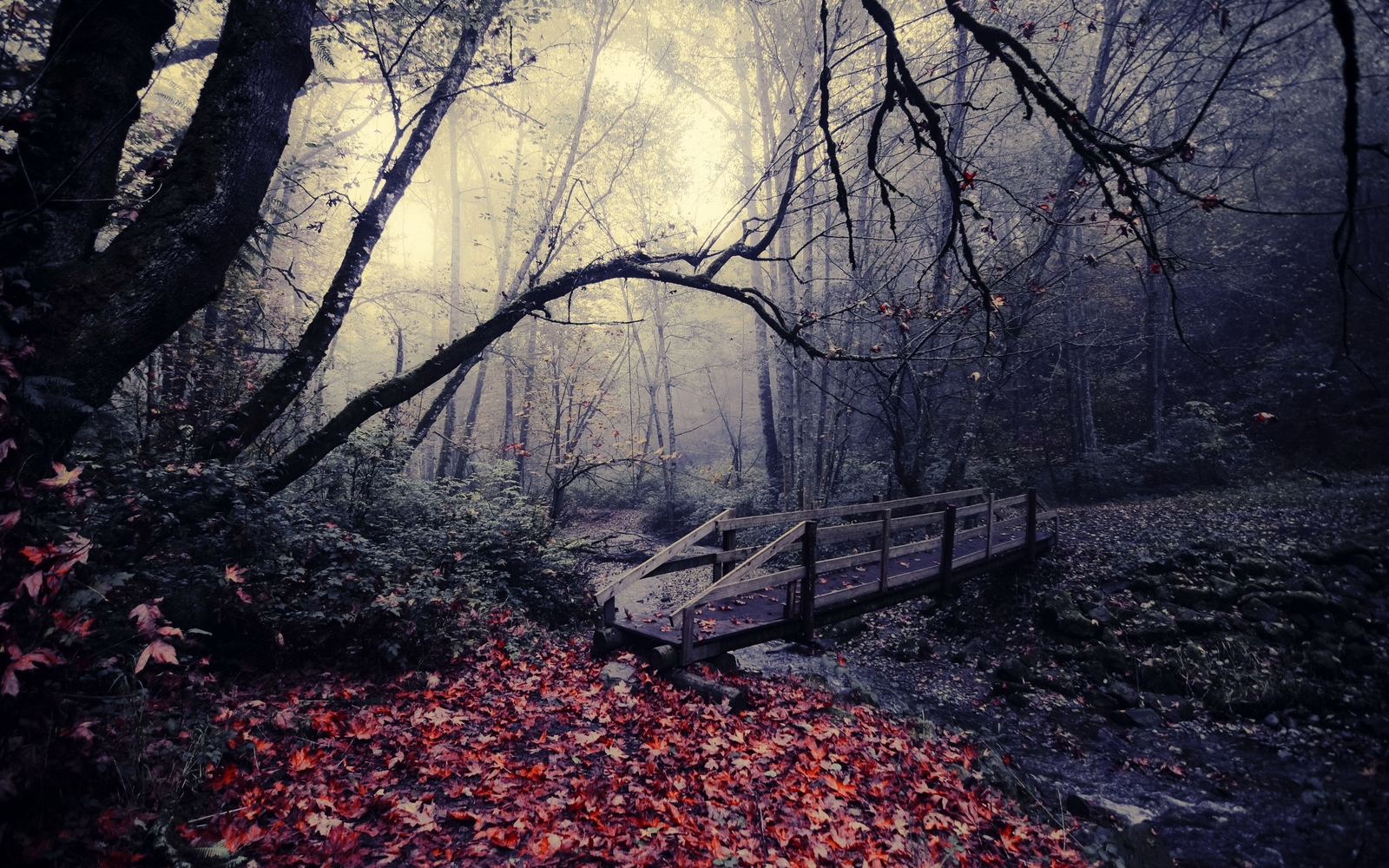 Landscape nature leaves bridge trees river fallen fall Custom Gaming Mat Desk