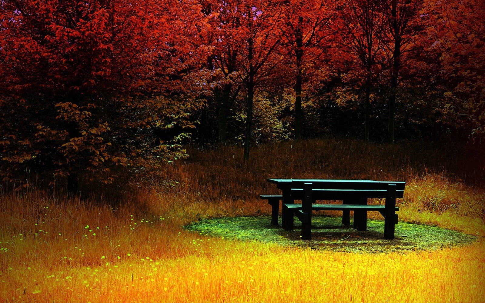 Landscape fall bench colorful trees nature Custom Gaming Mat Desk