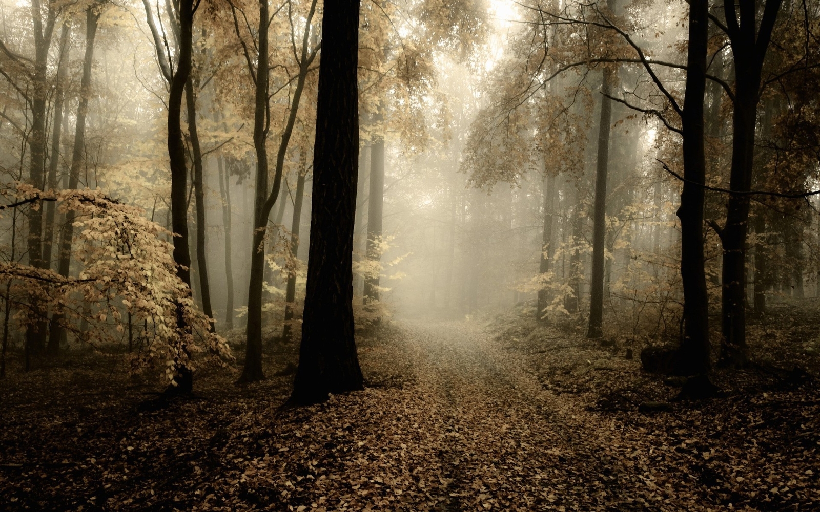 Landscape nature r forest mist trees path leaves beige Custom Gaming Mat Desk