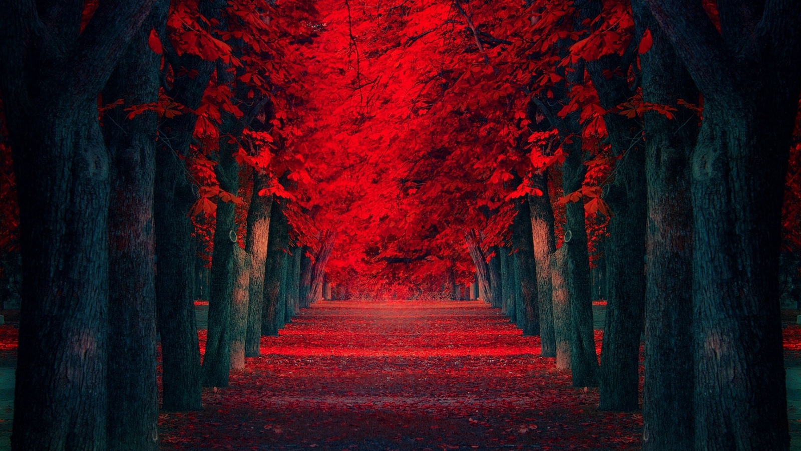 Landscape trees leaves red Custom Gaming Mat Desk