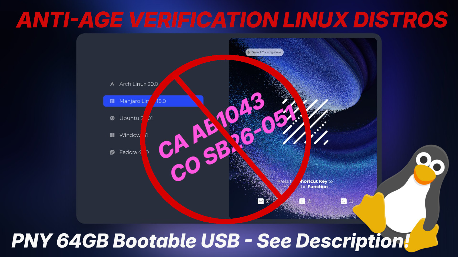 10 ANTI-AGE VERIFICATION LINUX DISTROS - PNY 64GB Bootable USB
