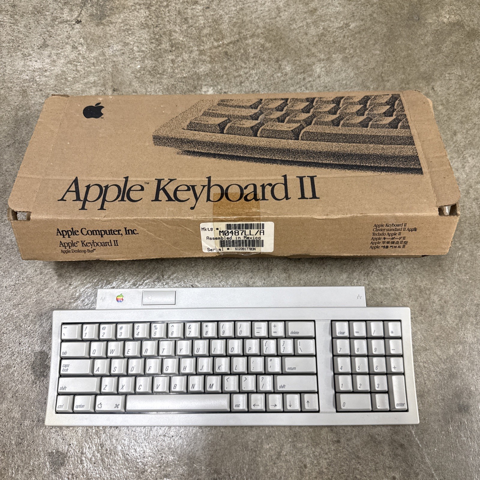 Vintage Apple Keyboard II Model M0487 - Untested In Box **No Cord
