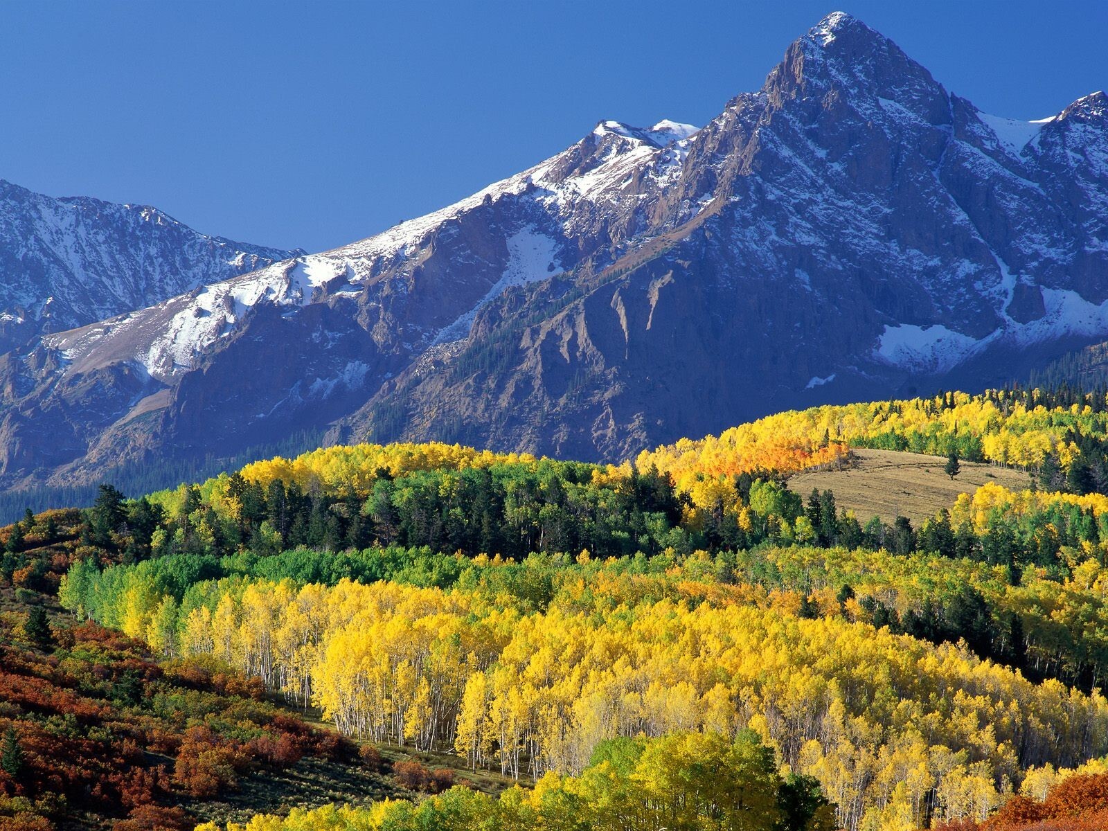 Landscape mountains fall forest national park colorado Custom Gaming Mat Desk