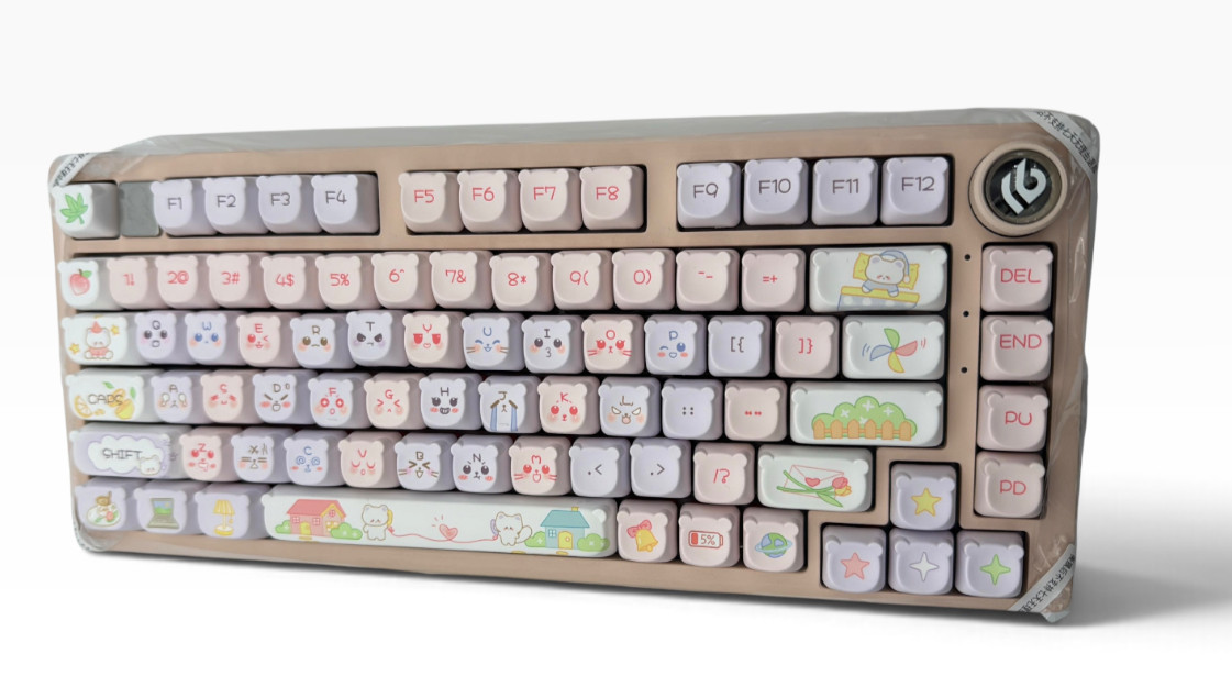 NEW LEOBOG Hi75C Wired Mechanical Keyboard LEO-HI75-TZMX-N