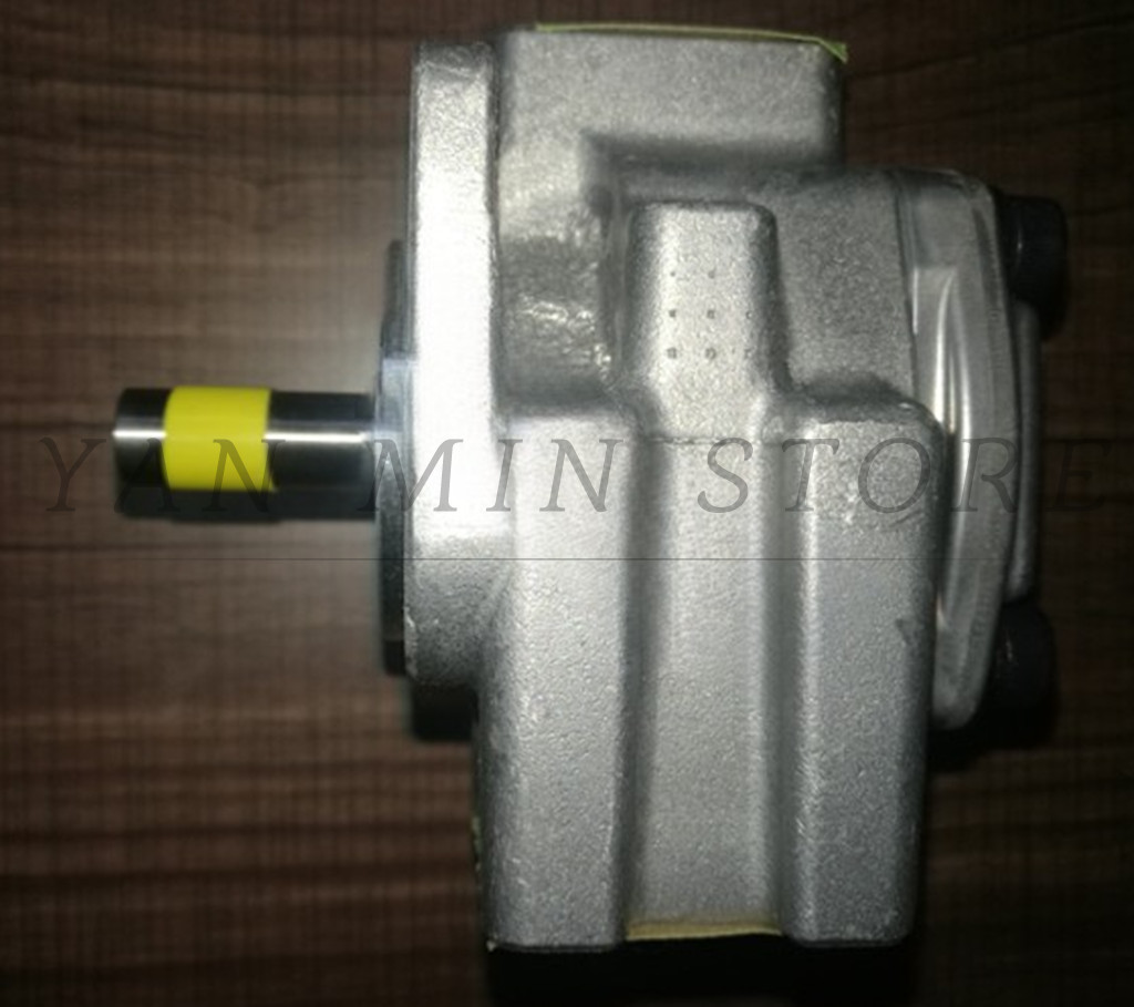 1X gear pump GPYZ4R324B Hydraulic Pump Replacement