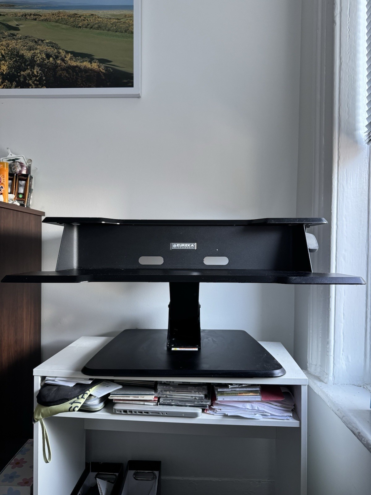Eureka Ergonomic Single Arm Height Adjustable Desk 31.5" Black ERK-CV-31B