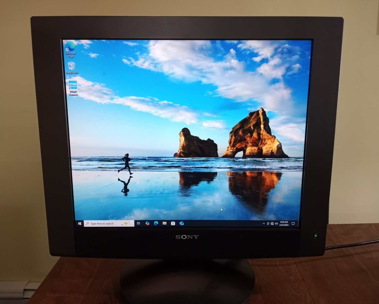 Sony SDM-HX93 19 Inch Flat Panel 1280 x 1024 Color LCD Display Monitor
