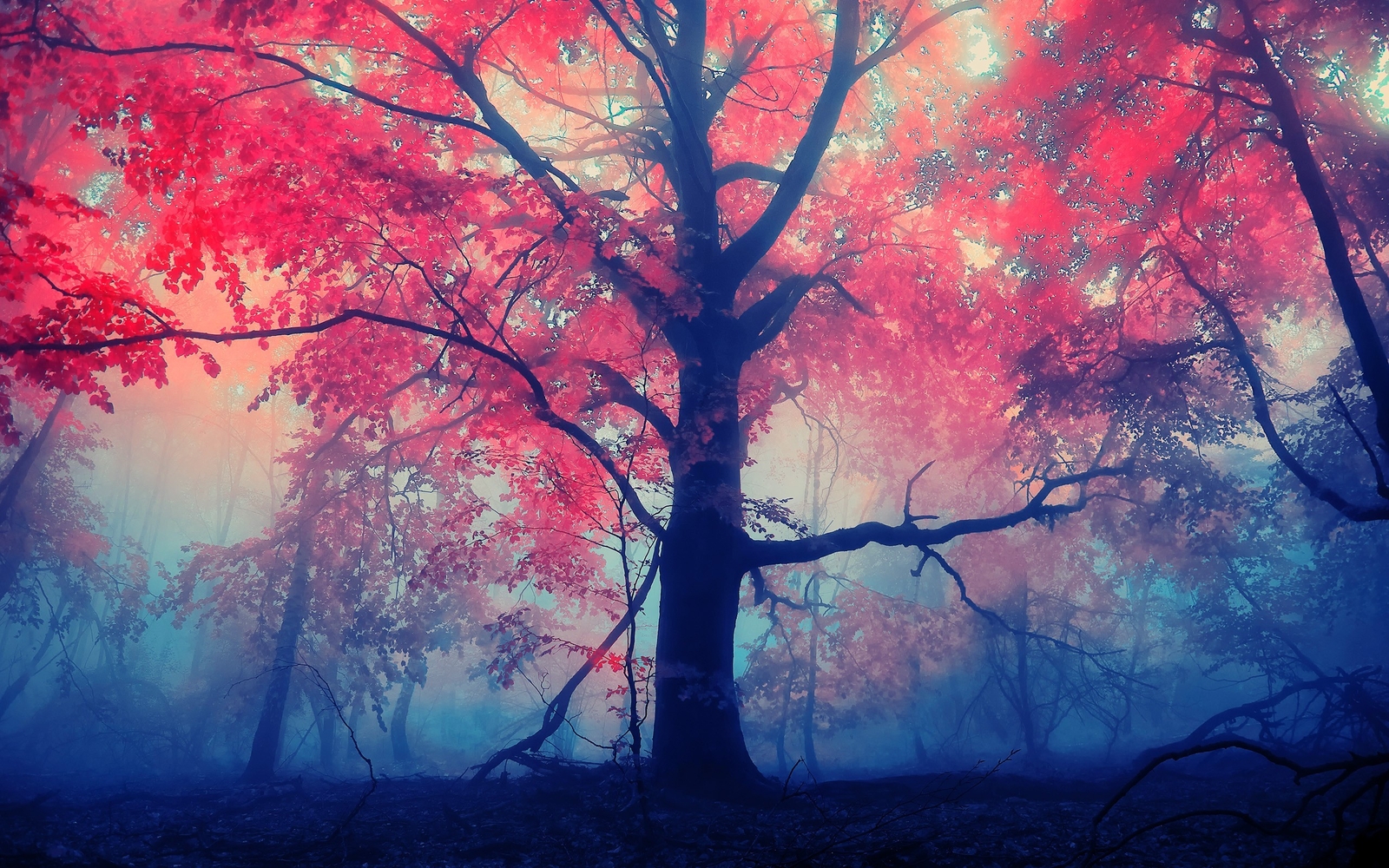Landscape trees forest fall mist leaves Custom Gaming Mat Desk