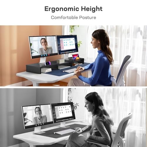 LORYERGO DUAL MONITOR STAND FOR DESK, MONITOR STAND WITH 2 SLOTS FOR -  VINTAGE