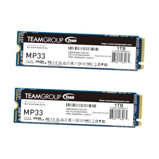 MP33 1TB 2 Pack SLC Cache 3D NAND TLC NVMe 1.3 PCIe Gen3x4 1TB x 2 Pack Modern
