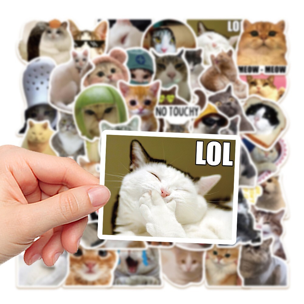 The cutest cat sticker that you put on your laptop, carrier, etc A type