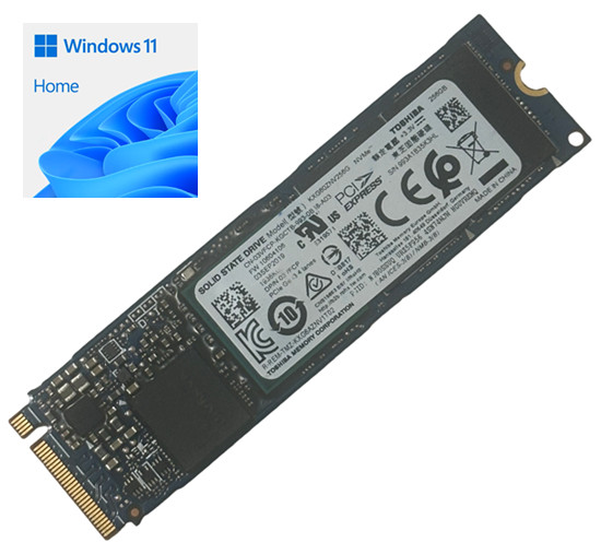256GB Toshiba M.2 PCIe NVMe SSD with Windows 11 Home for Dell Lenovo HP Acer IBM