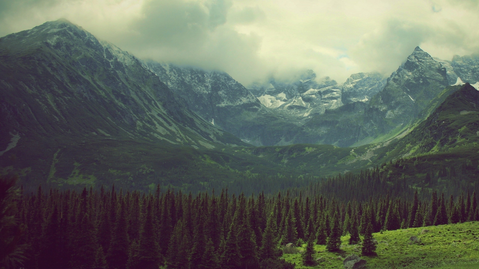 Landscape mountains valley pine trees nature forest Custom Gaming Mat Desk