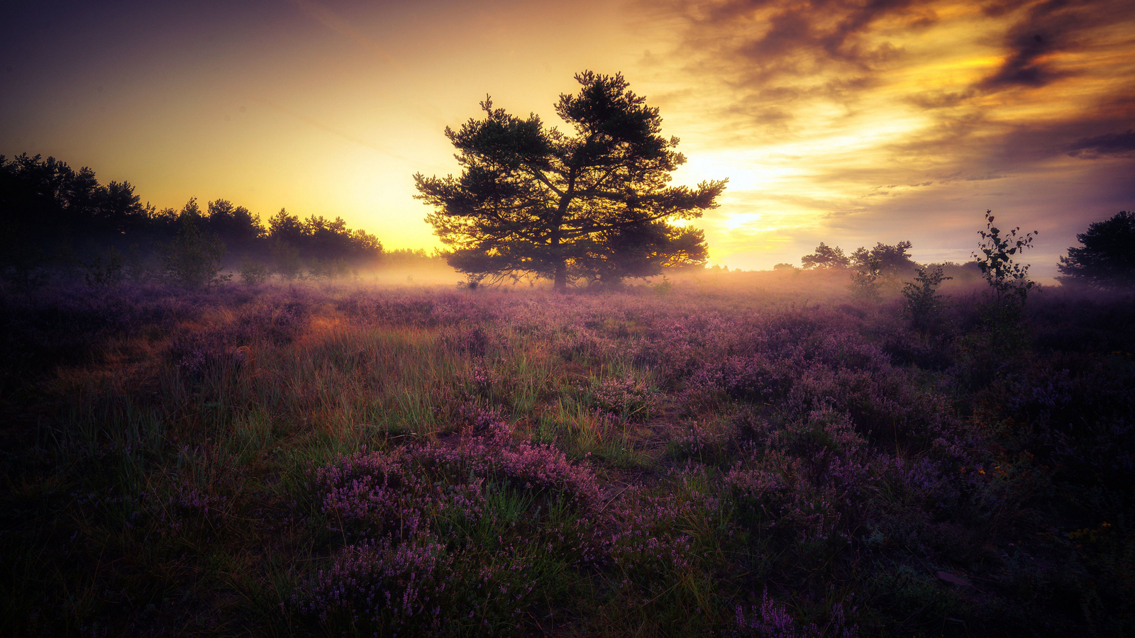 Landscape nature field flowers clouds sunlight trees Custom Gaming Mat Desk