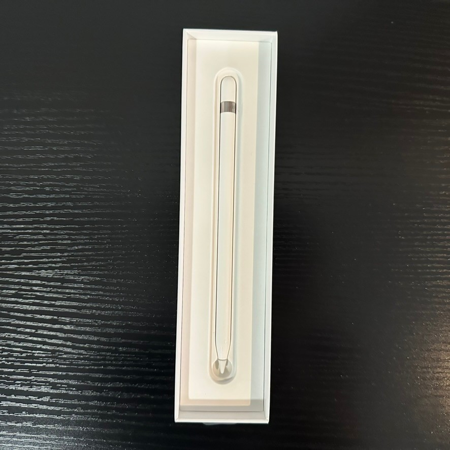 Apple Pencil (1st Generation) with USB-C to Apple Pencil Adapter iPad Stylus