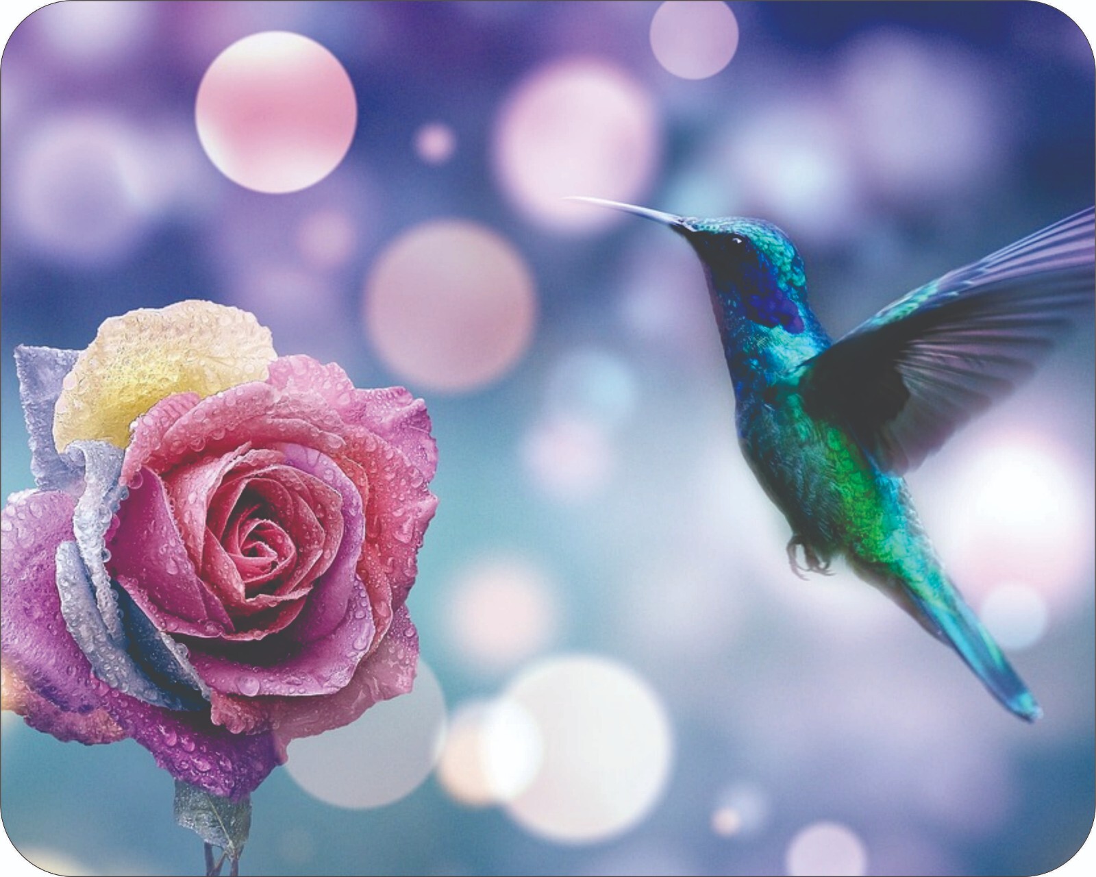 HummingBird Wild Life Flower Art Colorful  Art Mousepad 7 x 9 Art mouse pad