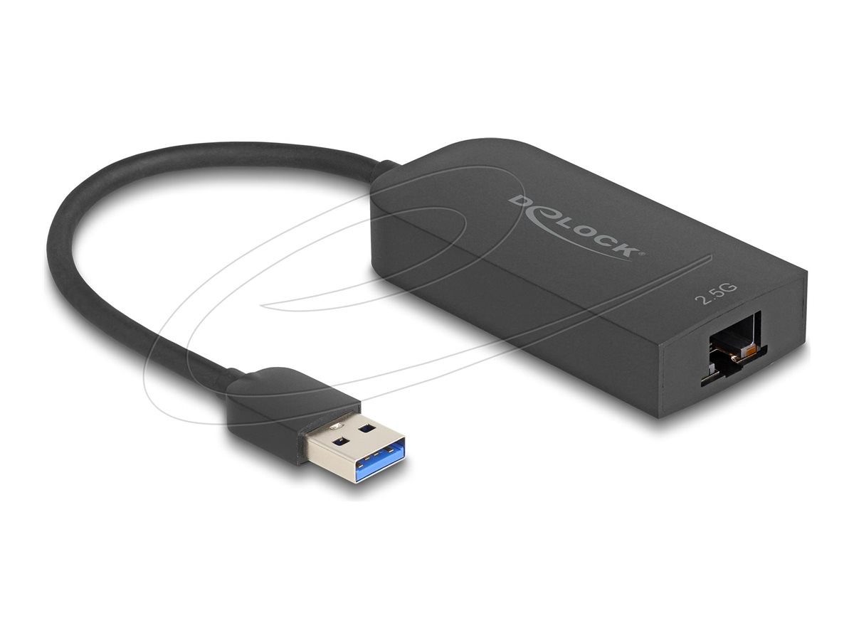 Delock USB Typ-A Adapter for 2.5 Gigabit LAN Adapter 66045