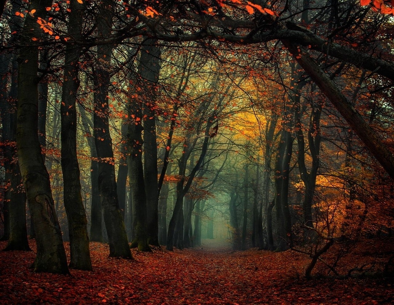 Landscape forest mist fall leaves trees path Custom Gaming Mat Desk