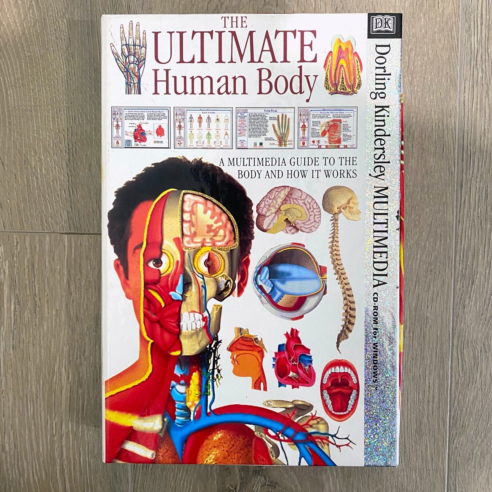 The Ultimate Human Body 2.0 by DK Multimedia for Windows CD-ROM