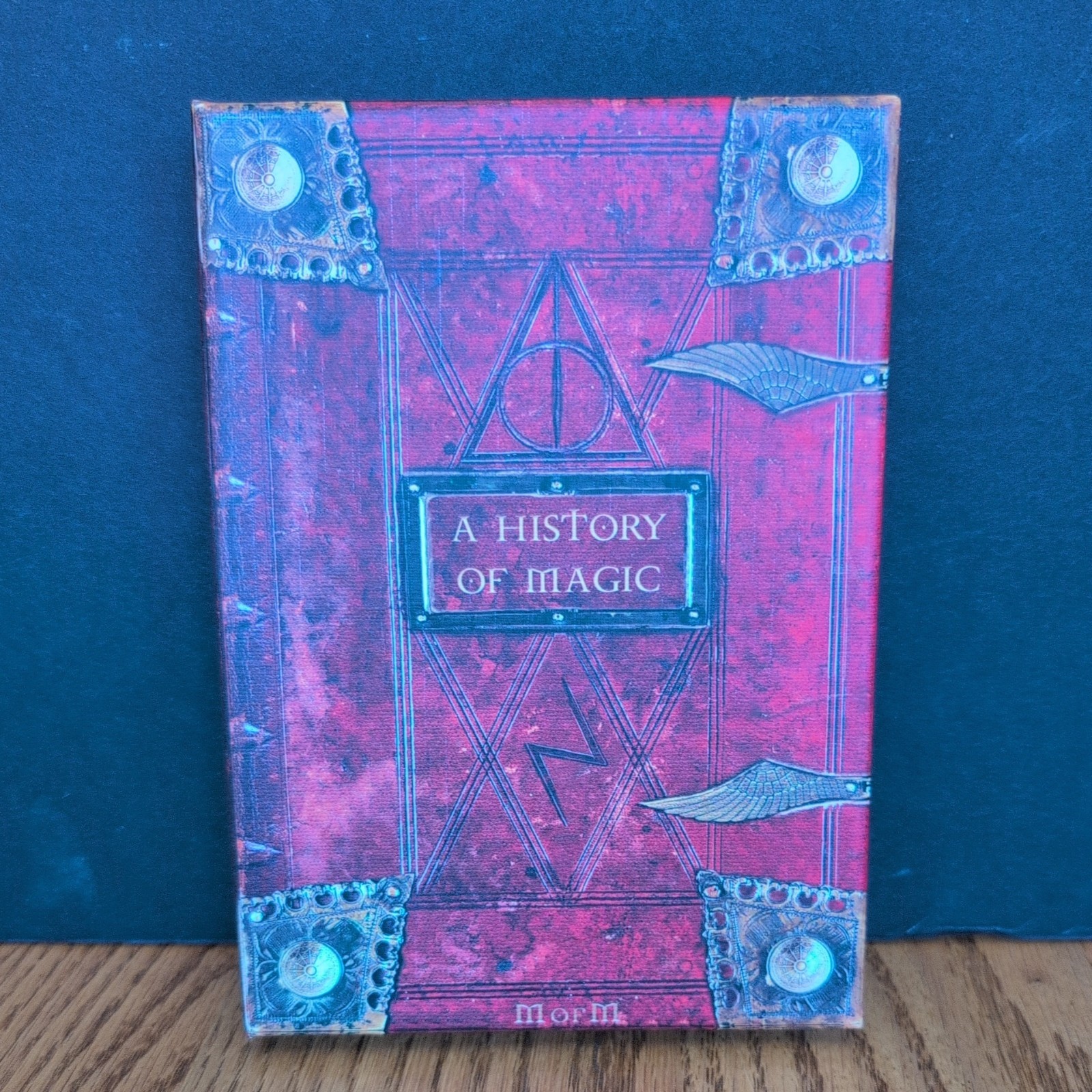 Klevercase Kindle & Universal eReader Case Harry Potter (A History of Magic)