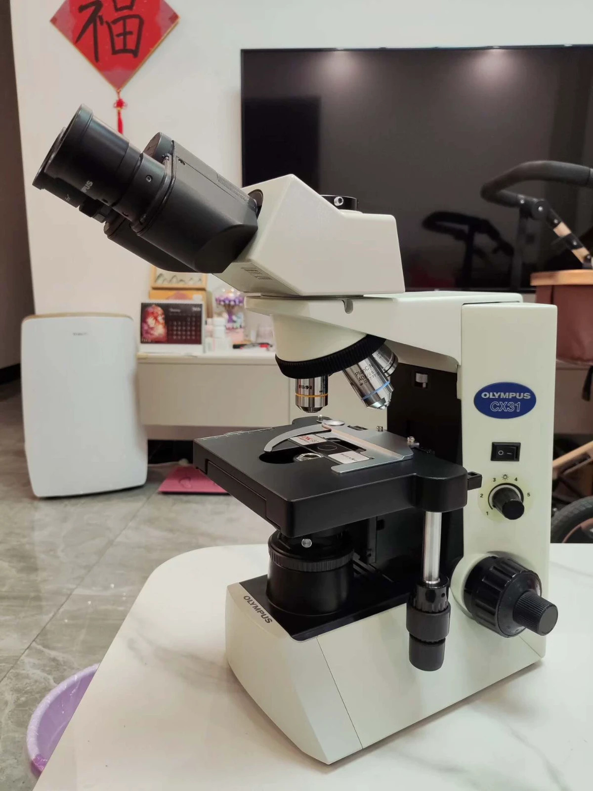 1PCS USED  Olympus CX31 microscope (FedEx/DHL)