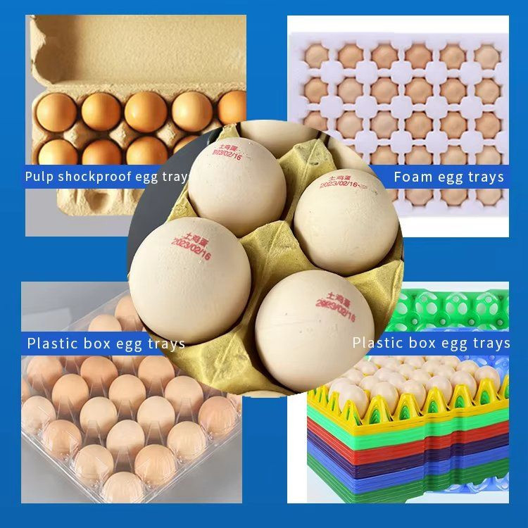 Automatic Egg Inkjet Printer - Fully Auto Date Coder for Poultry Farm