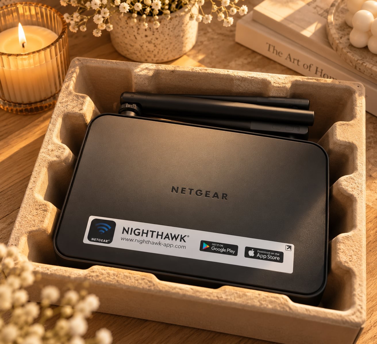 Netgear Nighthawk R6020 AC750 Dual Band WiFi Router