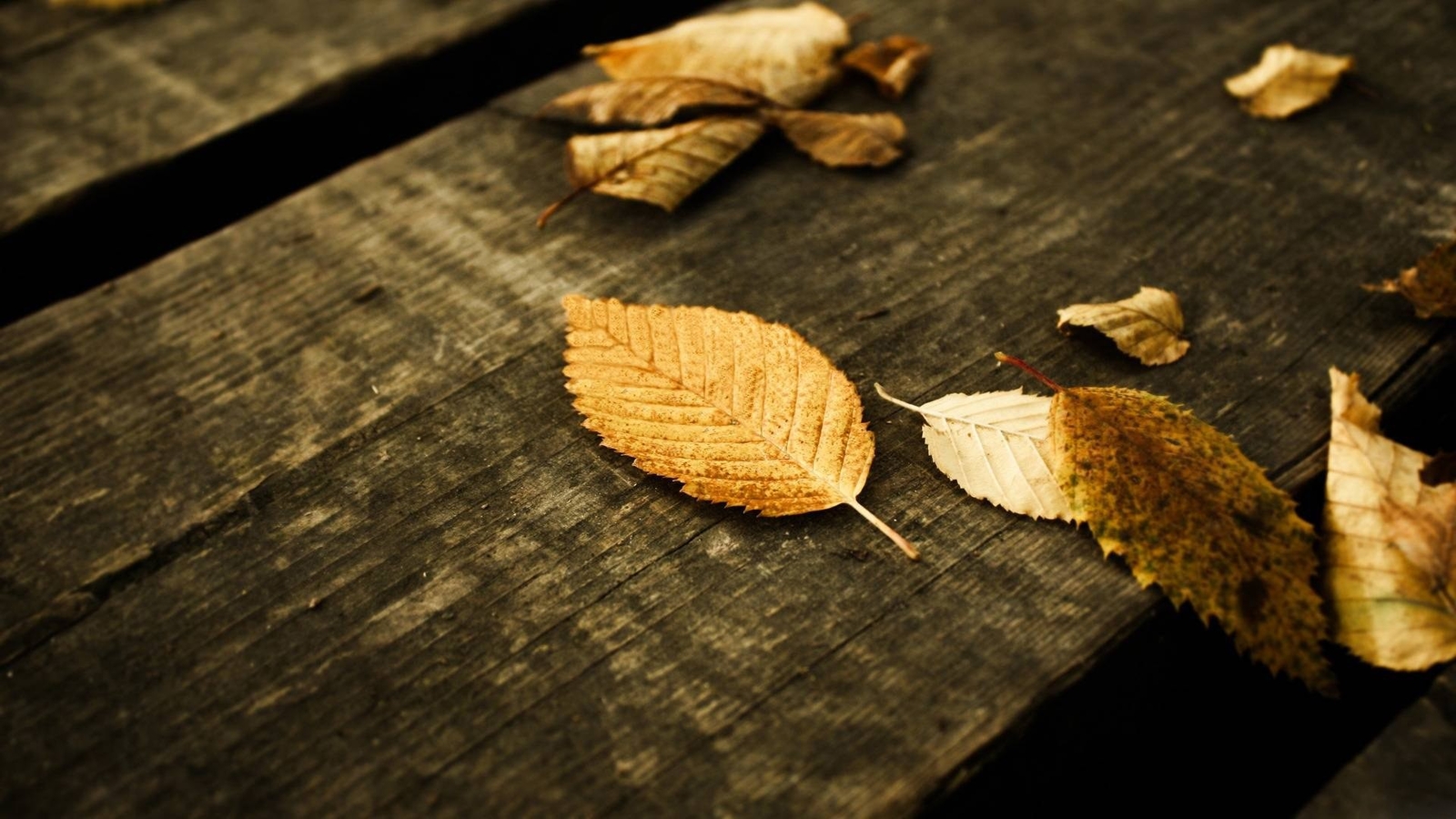 Landscape fall leaves wooden surface Custom Gaming Mat Desk