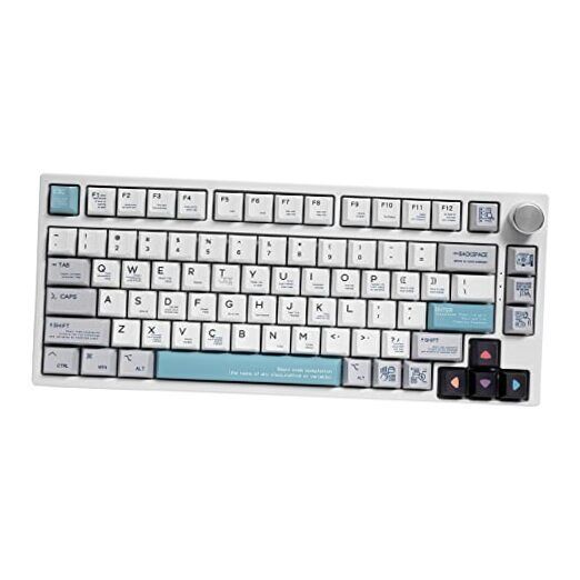  TK75 75% Mute Mechanical Keyboard with Knob Control, GamaKay Pegasus Switch